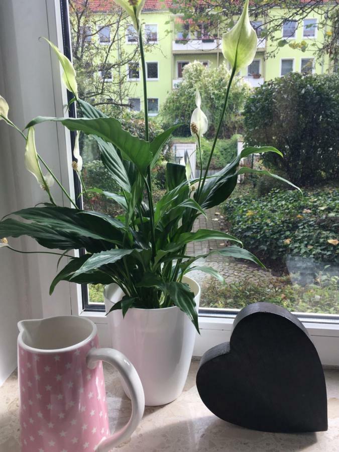 Gemuetliche Ferienwohnung Im Erdgeschoss- Jenaer Strasse Эрфурт Экстерьер фото